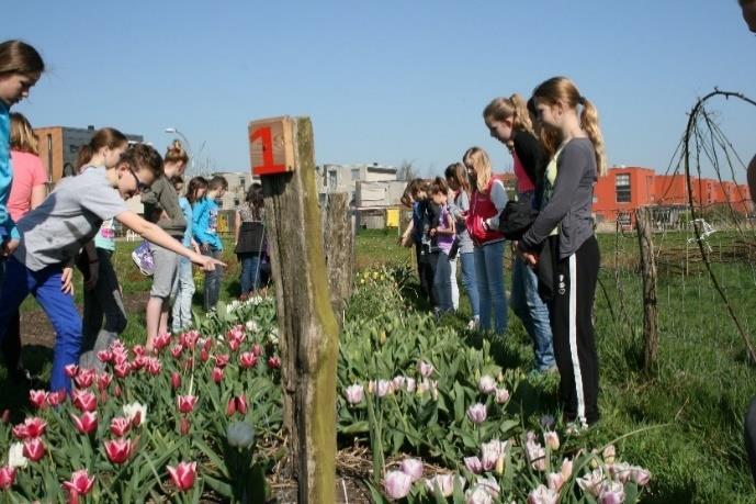 De initiatiefgroep De Groene Vinger, deze streefde al enkele jaren voor het behoud van het weiland tussen de woningen van de Renaissance- en Afrikalaan.