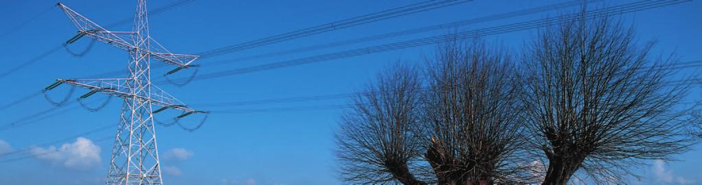 Transportnet 38 kv en 22 kv Zowel de onvoorziene niet-beschikbaarheid (storing) als de voorziene niet-beschikbaarheid hebben in geen enkel geval geleid tot een onderbreking van de transportdienst met