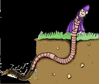 Worm Vooruit kruipen zonder poten? Een regenworm kan het. Hij heeft sterke spieren die hij gebruikt als hij zich uiten dan weer samentrekt.