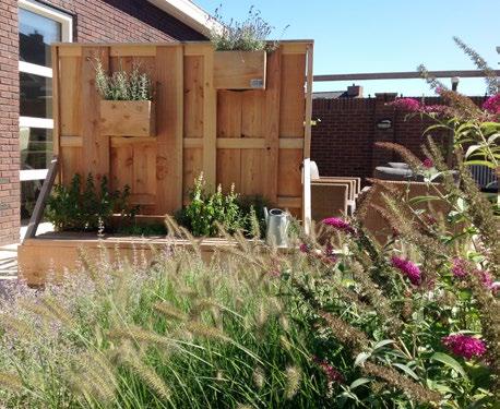 Het samenspel van vormen in douglas hout, en planten op verschillende hoogtes, zorgen voor een speelse opbouw. En wat buiten goed werkt, kan zelfs binnen met het groene kantoorscherm.