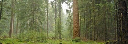 We ontwikkelen producten waarbij een mooie, sociale en natuurlijke leefomgeving centraal staat.