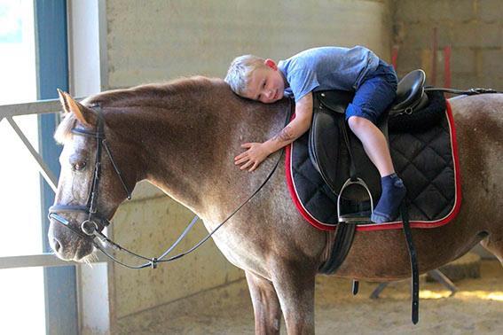 Hippotherapie Hippotherapie is een vorm van therapeutisch paardrijden en wordt ook Equine-assisted therapy (EAT) genoemd.