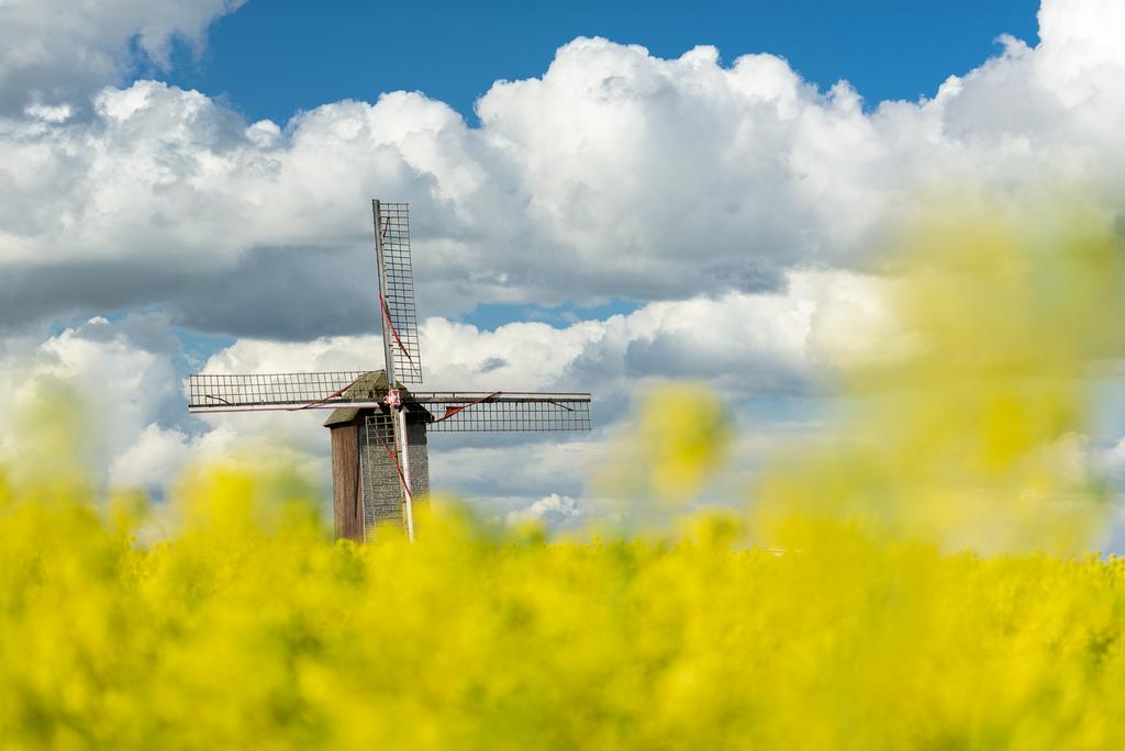 Ik ben er dus steevast van overtuigd dat bij iedereen in de buurt leuke plekjes te vinden zijn voor wie ze zien wil. Vallei in de Vlaamse Ardennen op 200m van mijn ouderlijke huis.