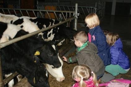 Boerderij het Lansingerland - Bergschenhoek: Boerderij het Lansingerland is een prachtige locatie waar u terecht kunt voor: