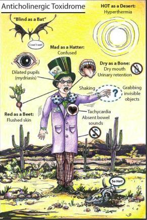 2. Anticholinerg syndroom Ach-R: muscarine M1: CZS en gi Geagiteerd delirium epilepsie M2: hart M3: gladde