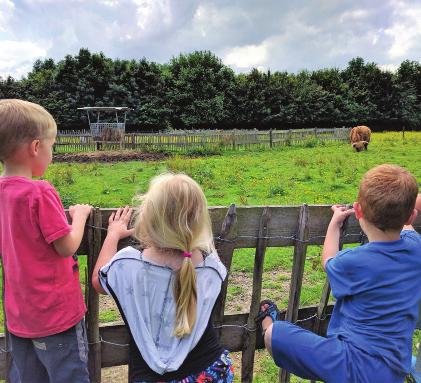 08 In deze infobundel vind je: bagagevuller medische fi che Mechelen - Jeugdverblijf De Nekker Maak kennis met ons vakantiedomein dat beschikt over kamers voor 2 tot 10 kinderen met eigen sanitair.