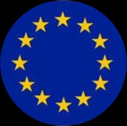 EU AML/CFT Richtlijn Artikel 8 van de 4AMLD De meldingsplichtige entiteiten ondernemen de nodige stappen ondernemen om hun witwasrisico en risico van terrorismefinanciering te identificeren en te