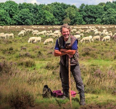 000 exemplaren), wat tot doel heeft de bezoeker te inspireren naar de Veluwe te komen, dan wel andere plaatsen op de Veluwe te ontdekken.