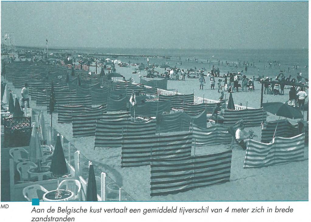 Het zijn deze getijdebewegingen die aan de basis liggen van het w ereldw ijd voorkomen van typische leefgebieden ais stranden, slikken, schorren en mangrovebossen.