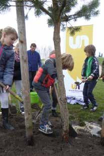 Special: Boomfeestdag 39 40 41 56 Sinds 1957 planten per jaar ruim 100.000 kinderen van basis scholen op deze dag een boom (of struik) langs straten en pleinen of in parken en bossen in Nederland.