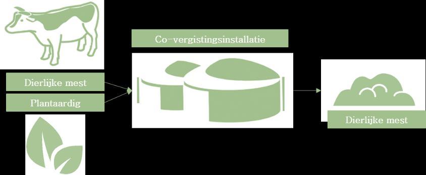 Figuur 1: multiplicatoreffect van dierlijke mest bij co-vergisting Een deel van de geproduceerde digestaatproducten wordt inderdaad uitgereden op Vlaamse landbouwgrond en kan hierdoor in competitie