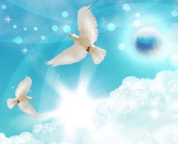 Dia 7 7 Het geloof in Zijn engelen Onzichtbaar Opdrachten uitvoeren Voortdurend Allah aanbidden Alleen goed Uit noer (goddelijke licht) Vier grote engelen: Djibriel Azrail (Malak al Mawt) Mikail