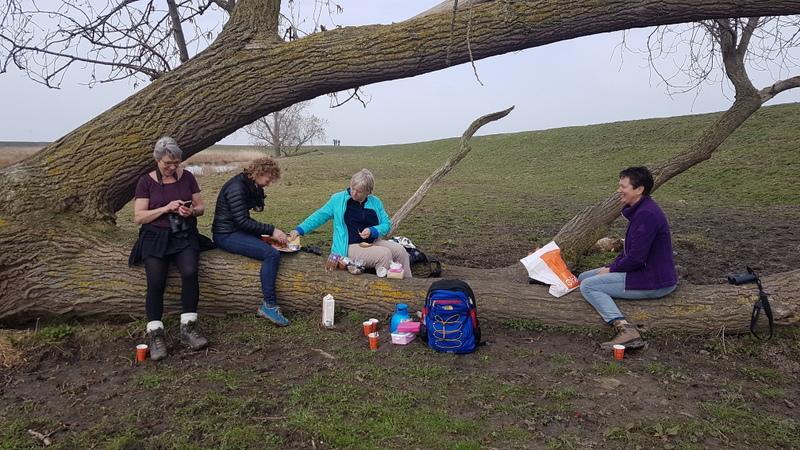 Na de luch was het tijd om de Wildernis te betreden. Hier zagen en hoorden we vele Blauwborsten en Rietgorzen.