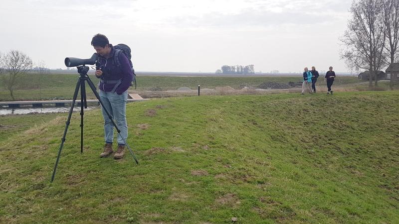 We hoorden enkele malen groepen puttertjes babbelen.