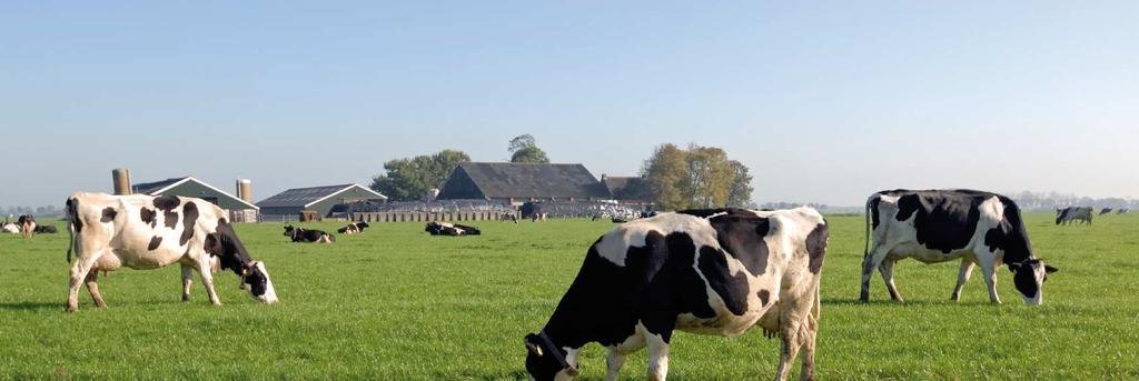Mestbeleid 3 De NMV kiest voor grondgebonden veehouderij In november heeft de Tweede Kamer ingestemd met het wetsvoorstel Verantwoorde groei van de melkveehouderij.