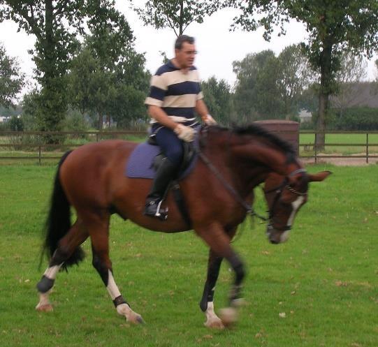 De Pen. De Pen van John Janzen Bedankt Piet voor het doorgeven van de pen maar weer aan iemand van de oudere generatie. En juist de jonge generatie staat te popelen om het stokje over te nemen.