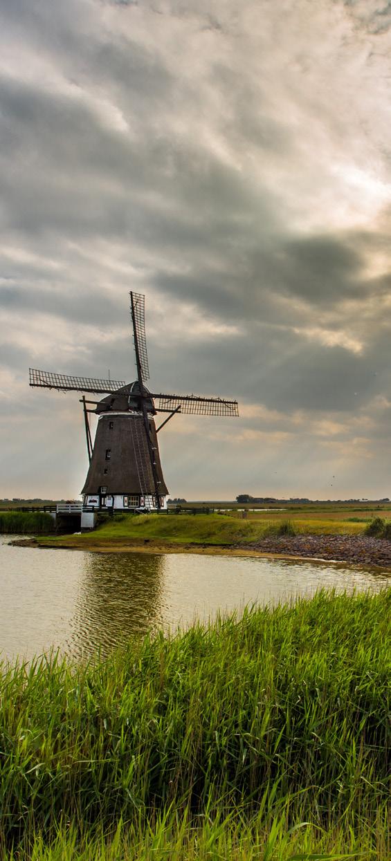 3 TRENDS & ONTWIKKELINGEN Nederland: 100% Circulair in 2050 Nederland draait in 2050 op een circulaire economie, en in 2030 worden er 50% minder primaire grondstoffen gebruikt.