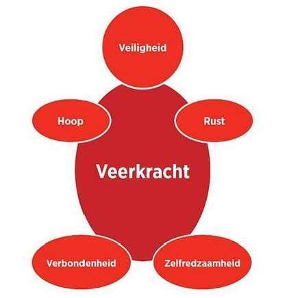 Model van Veerkracht