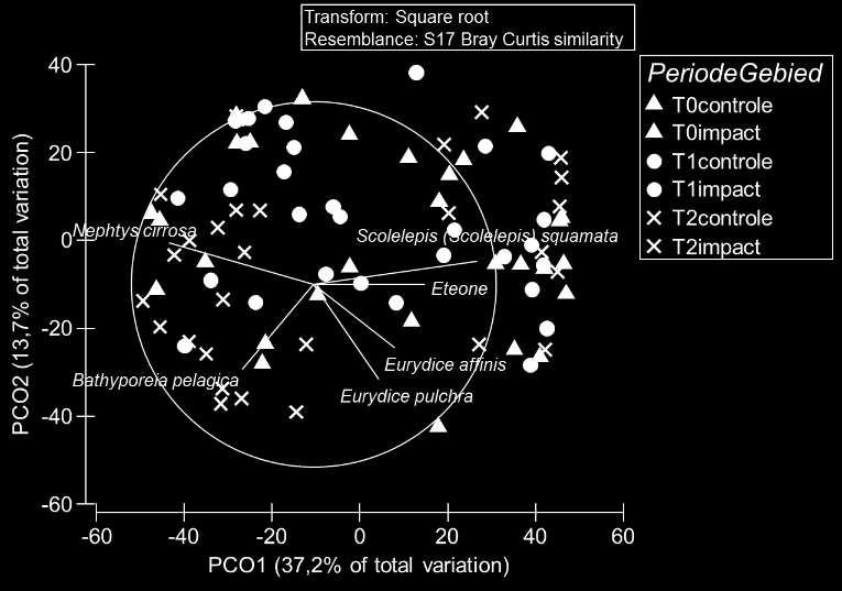 PO plot van de intertidal macrobenthos gemeenschap in het najaar. Vector overlay is gebaseerd op multiple correlaties en enkel de soorten met correlatie >,5 worden weergegeven. Tabel 18.