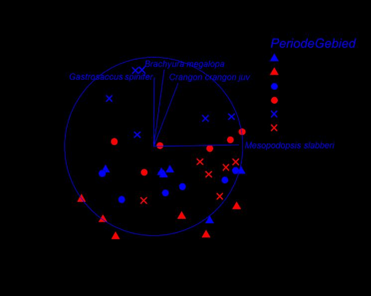 Figuur 58. PO plot van de intertidale hyperbenthos gemeenschap in het najaar. Vector overlay is gebaseerd op multiple correlaties en enkel de soorten met correlatie >,5 worden weergegeven. Tabel 55.
