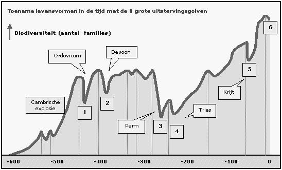 BIODIVERSITEIT VROEGER EN NU Oorzaak 6 de uitstervingsgolf.. miljoenen jaren http://home.kpn.nl/d.siebers1/naturalis/uitleg-1.