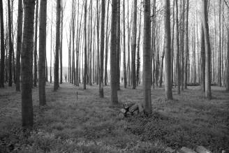 ONDERZOEK 3: MENSELIJKE INVLOEDEN Onderzoeksvraag: Zijn er verschillen in beheer en gebruik van het bos door de mens op beide locaties? Hypothese:.