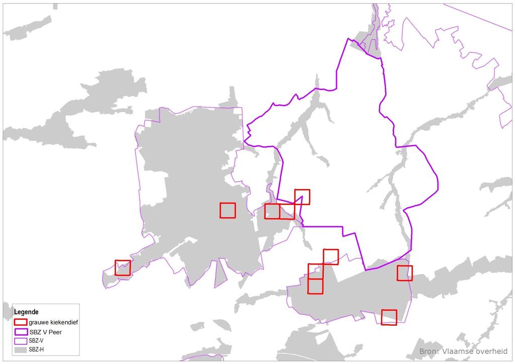 Figuur 0-4: Locaties van vroegere (jaren 70) broedgevallen van Grauwe kiekendief- Circus pygargus Potenties Het is een kiekendief van eerder droge open habitats, oorspronkelijk steppen en grote open