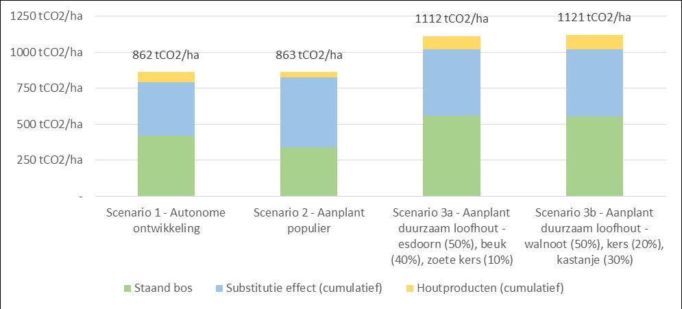 CO 2 -vastlegging in jaar 50 (2) Uitgangssituatie: licht aangetaste