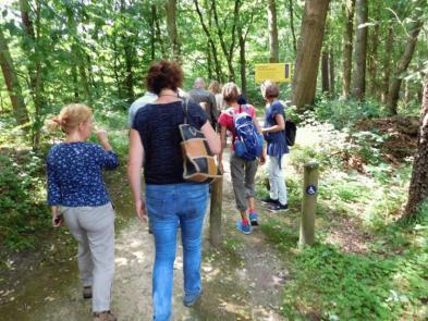 Wandelroute vanaf Bartiméus (B) 5. Bij de oversteek direct na het draaihek sluiten de wandelpaden niet in elkaars verlengde op elkaar aan.