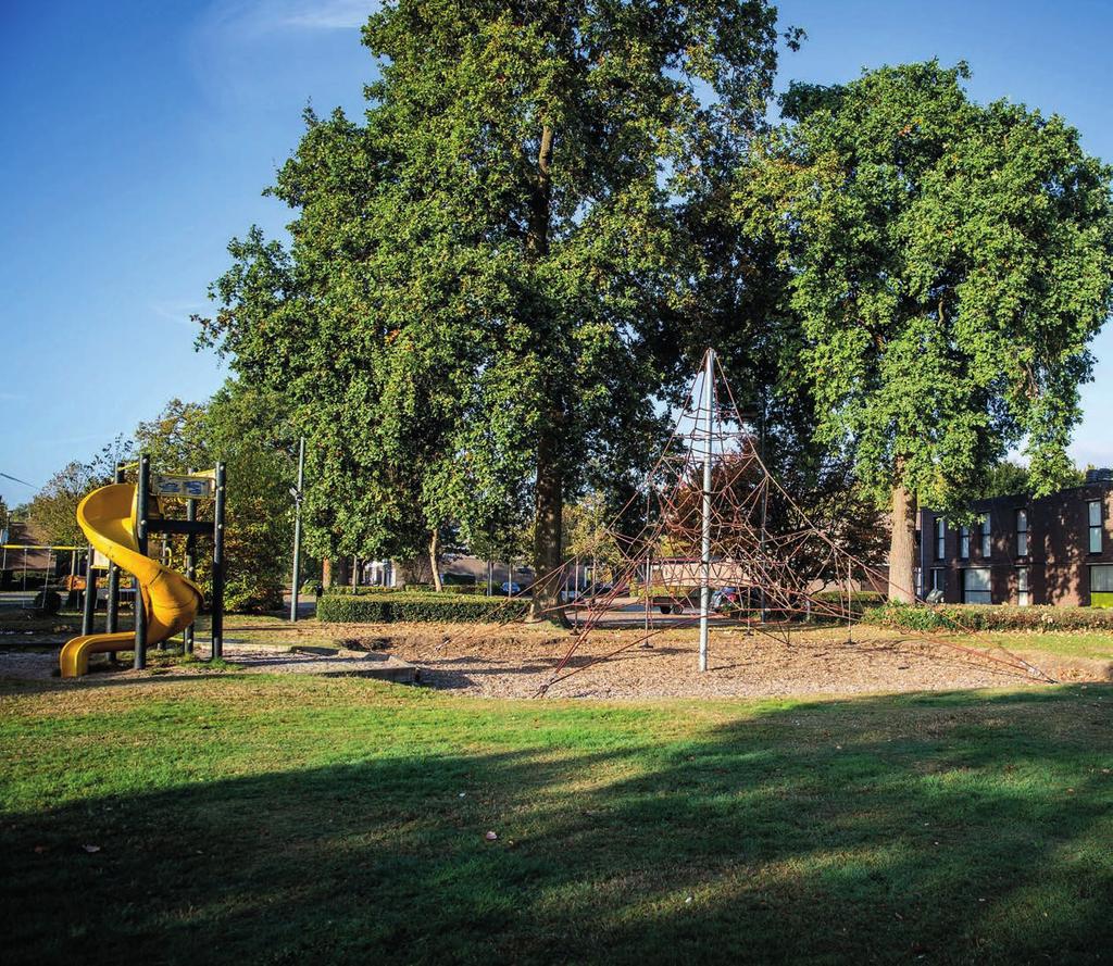 DE OMGEVING VAN DE WONINGEN BESLIST DOOR DE GEMEENTERAAD: 6 7 8 De Parkwijk is een groene woonomgeving, de beplanting sluit aan bij de eenvoud van de architectuur.