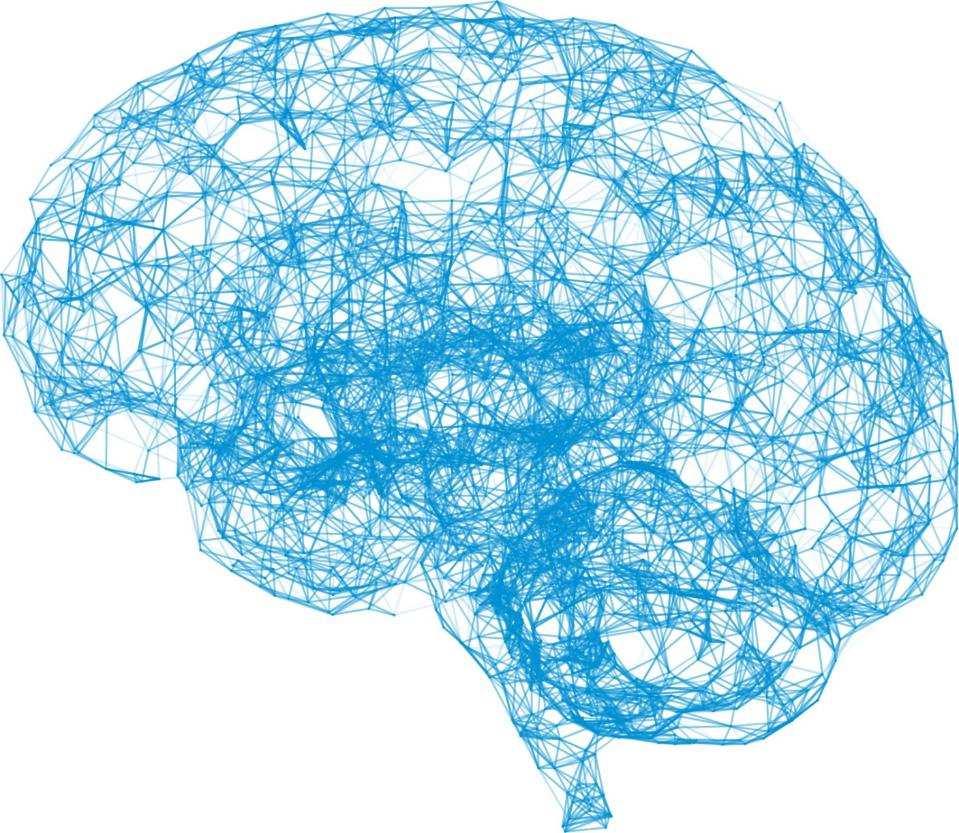 Gedragsbeïnvloeding Vanuit de evolutieleer, cognitieve neuropsychologie, sociale