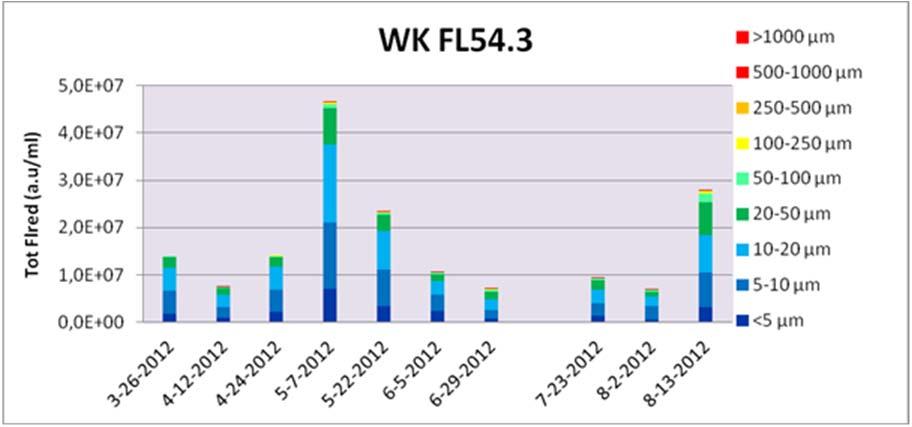 Figuur 5.13 C: De chlorofyl-a gerelateerde FLred fluorescentie (a.u/ml) per grootteklasse op locatie FL53.3 Figuur 5.13 D: De chlorofyl-a gerelateerde FLred fluorescentie (a.