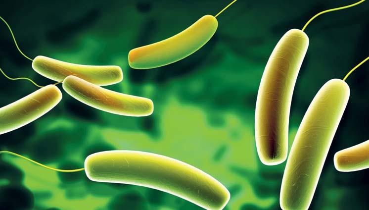 Antibacteriële coatings Zuiverheid voor alles antibacteriële coatings De nieuwsberichten over ebola of MRSA tonen aan hoe belang rijk hygiëne en het vermijden van besmetting in het dagelijkse leven