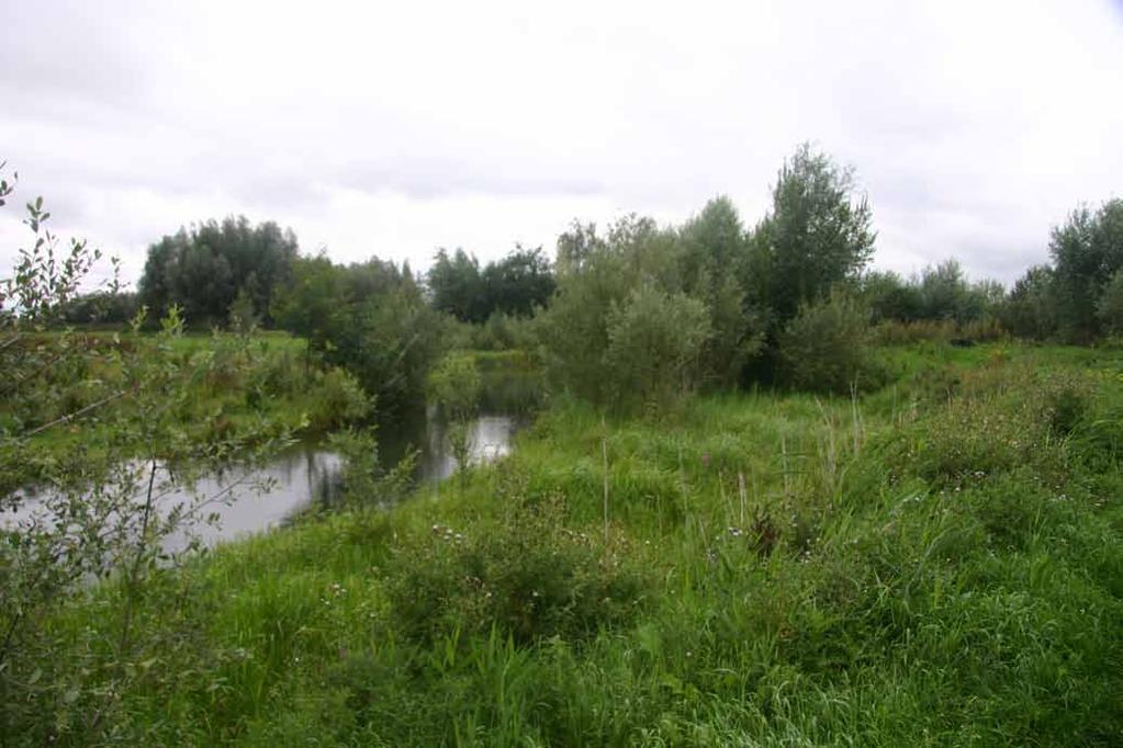 kampen met hoge warstanden de t de Aa n oosn Helmond de d-willemsvaart stroomgebied in Maasdal zelden overstromen, is Multifunctioneel ook in nat tijden droge voen.