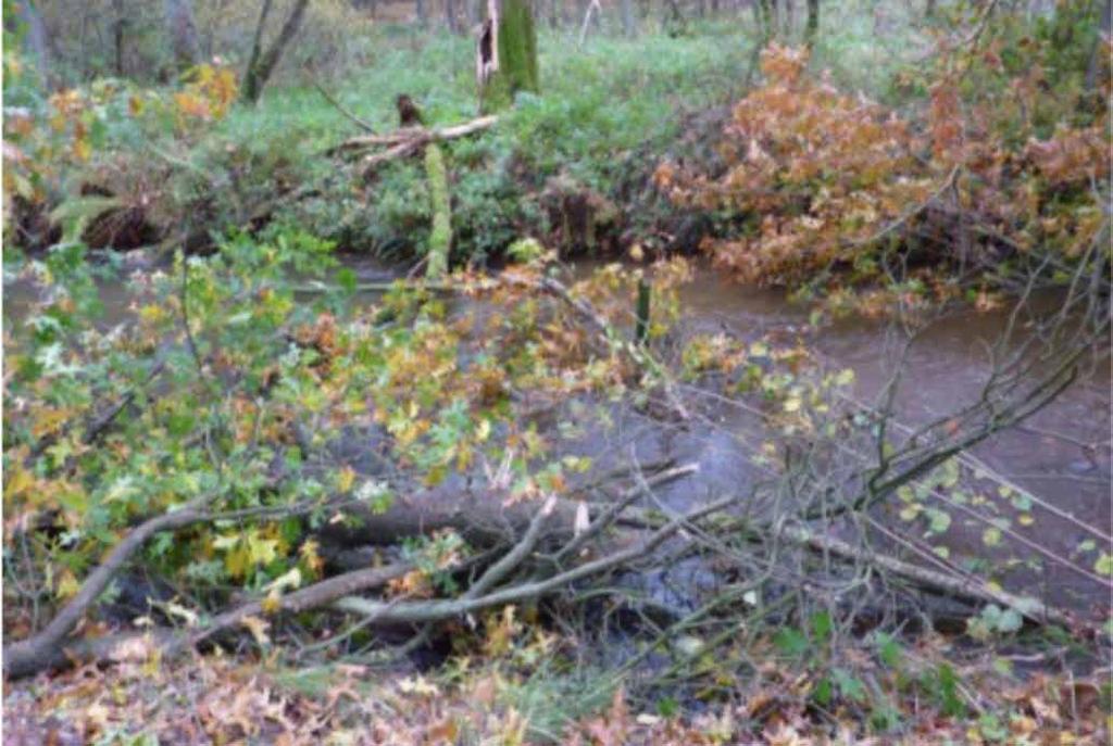 kampen met hoge warstanden de Stromings- en habitatvariatie volgens protocol HET inbrengen VOLG- EN ook in nat tijden droge voen.