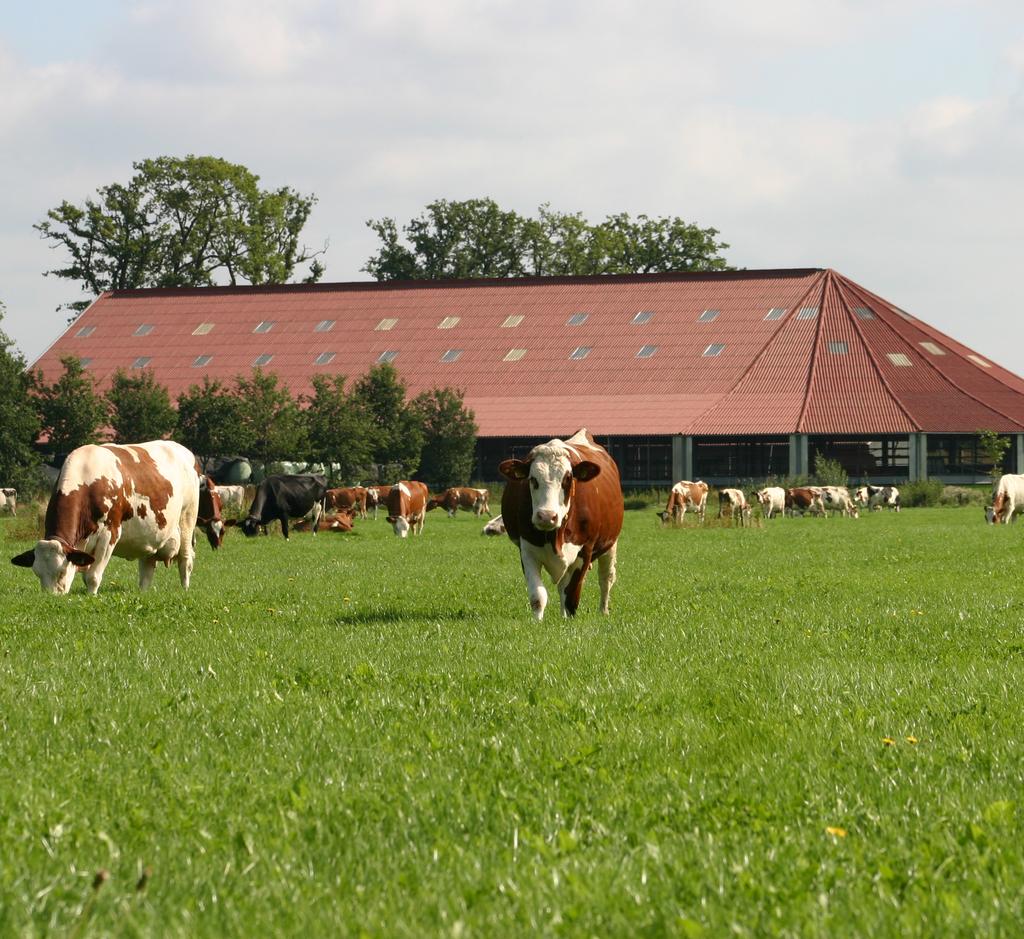 Wageningen UR Livestock Research Together with our clients, we integrate scientific know-how and practical experience P.O. Box 65 to develop livestock concepts for the 21st century.