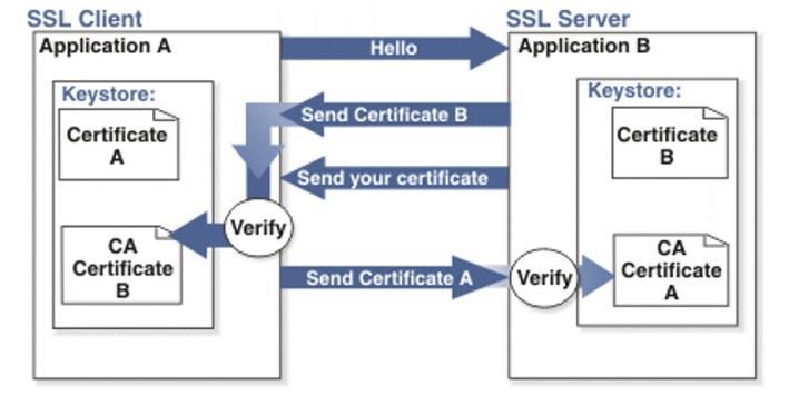 TRANSPORT LAYER SECURITY TWO WAY De cliënt stuurt een certificaat welke de