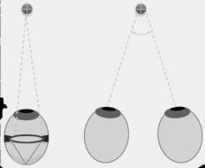 BINOCULAIRE EN OCULOMOTOR CUES De informatie van twee ogen wordt gecombineerd om binoculaire aanwijzingen waar te nemen.