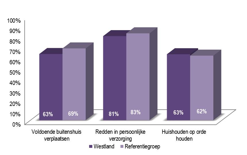 persoonlijke Huishouden op orde houden verzorging Westland Referentiegroep Er zijn grote verschillen