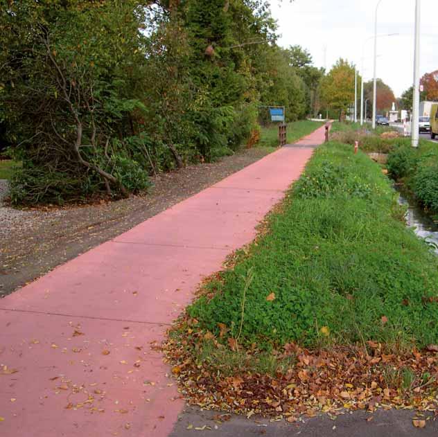Aandachtspunt: de vegetatie moet op regelmatige basis verwijderd worden om te voorkomen dat de beschikbare breedte van het fietspad stelselmatig kleiner wordt.