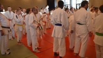 Voeren van promotie en organiseren van kennismakingsactiviteiten: 22/03/2013 Open G-judotraining, Sporthal Koornmolen, Processiestraat 15 te