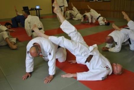 In 2015 richtte de VJF zich op de ongevallenpreventie van de jonge judoka. Dokter Smolders werd hiervoor aangesteld om dit project in goede banan te leiden.