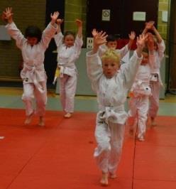De judoclubs worden gestimuleerd om de richtlijnen U9 kennismakingsontmoetingen te gebruiken om hun jeugdige