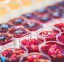 80 pp Fruitsalade - rode vruchten - aardbeien