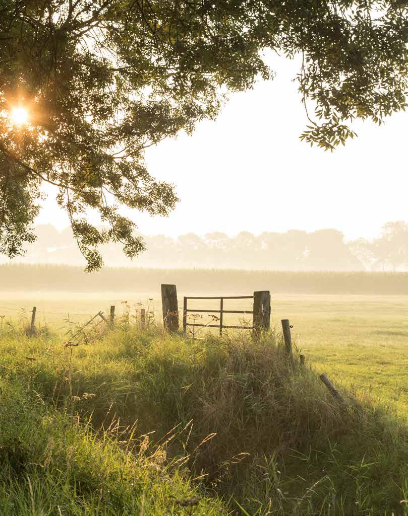 3 Parijsch: wijk van avontuur 4 Bouw je droom 7 Avontuurlijk wonen 8