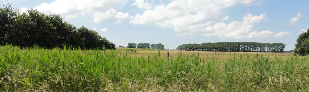 BEELDEN SITUATIE zijde Vlaamse weg zicht vanaf Vlaamseweg tussen A58 en nr 9 zicht vanaf