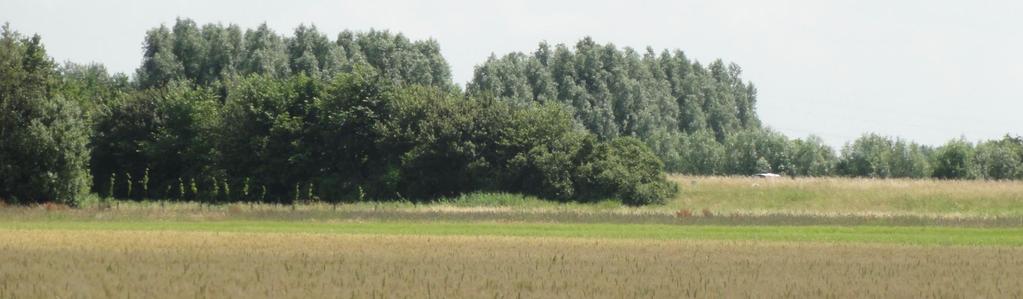 ZICHTBAARHEIDSANALYSE Hoewel de hoogte van de panelen met maximaal 1,5 m niet erg hoog is zullen deze, wanneer geen inpassingsmaatregelen worden genomen, vanuit de omgeving goed zichtbaar zijn.