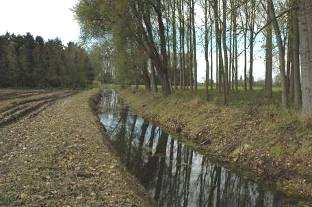 We rijden naar de Hellestraat en gaan daar even via de dijk een korte wandeling ondernemen in het valleigebied.