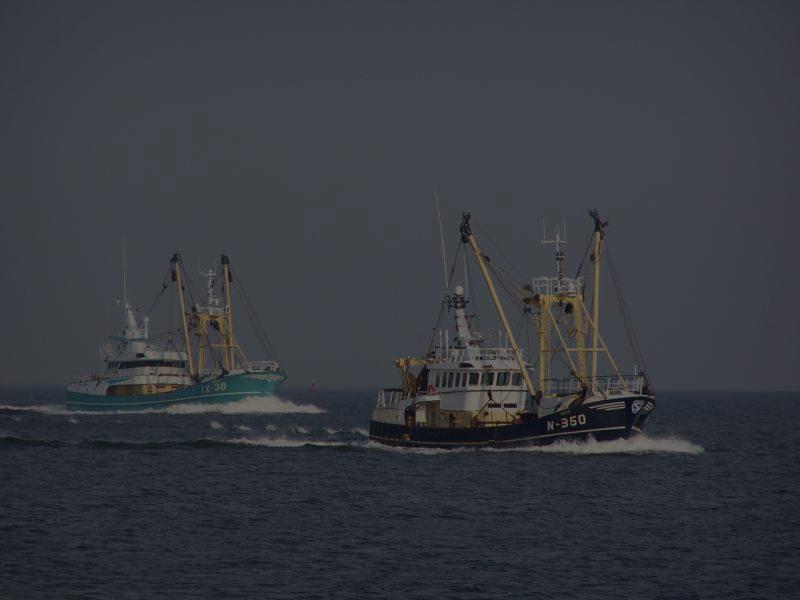 The socioeconomic impact of the landing obligation on the Dutch demersal fisheries.