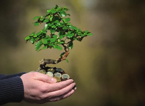 5 Economische prestatie Om invulling te kunnen geven aan onze missie zijn de continuïteit van de stichting en een goede balans in de omzet belangrijk.